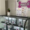 견바라기 이미지