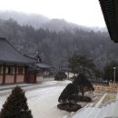 강원 오대산 월정사 템플스테이｜가격, 예약, 프로그램, 위치 한눈에 정리
