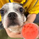 옐레드 시흥은계호수점 이미지