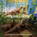 카페아는언니 | [대전아기랑갈만한곳] 대전 공룡 키즈카페 아틀란티스 내돈내산 후기