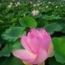 부산시설공단 곰내지소 이미지