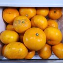 순연농장 이미지