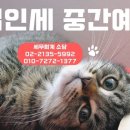소담세무회계 이미지