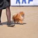 이천공설운동장 이미지