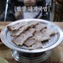 부산광역시 강서구청 | 부산강서구청맛집 밀양돼지국밥에서 수육백반 순대 먹고 왔어요