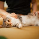 상일1동주민센터 이미지