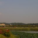 화랑유원지(중심광장) 이미지