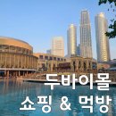 [두바이 신혼여행 ➃] 두바이몰 쇼핑하기 (feat. 파이브가이즈, 콜드스톤) | 카림 택시타기