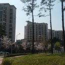 강일어린이집 이미지