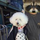 꼬미꼬미수산