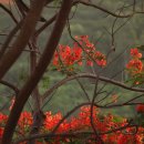 가평검도관 이미지