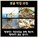 [통영굴 도매] [생굴 도소매] [굴택배] [깐굴 홍가리비 택배] 이미지