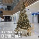 대형 크리스마스 트리설치, 충북대학교병원 본관 입구 로비! 실버&골드