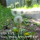 신천지 초막절 "하나님 함께하는 첫열매 성도가 초막" 이미지