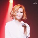 화사 이미지