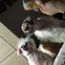 초이스PC방 이미지