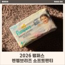 탑온소프트 | 2026 팸퍼스 엔젤브리즈 소프트팬티 사용 후기 베이비드라이보다 얇지만 더 강력해짐