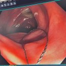 아산중앙내과의원 이미지