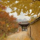 단풍하하 이미지