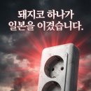 삼성 SK가 일본 소니 파나소닉을 넘을수 있었던 신의 한수 이미지