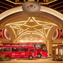 쇼펠리스 이미지