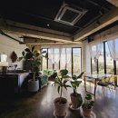 제주 나인 부띠끄 이미지