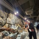 거북이가든 | 가평 당일치기 여행 여기로 끝｜신비동물원 + 아쿠아가든 직접 다녀온 후기.