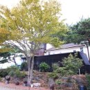 석양의추억펜션 이미지