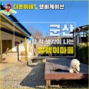 SK군산충전소 | 군산 애견동반 강아지랑갈만한곳 말랭이마을 강아지 여행