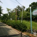 몽마르뜨 이미지