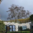 카페(CAFE)327 | 포르투갈 신트라 렌트카 여행 카스카이스 분위기좋은 디저트 카페 알바트로스 메뉴 가격