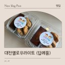 성모희보어린이집 | 대전 어린이날 간식 추천 옐로우라이트 답례품 후기