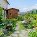 엘린휴버트 이미지