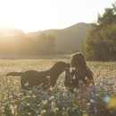 신흥동물병원 이미지