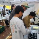 세상을 보는 신기한 과학실험 이미지