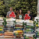 로얄타일