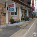 정자나무 이미지