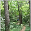 갈맷길 5코스 5-2구간 이미지