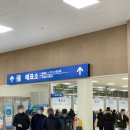 주식회사 선시안 | &#34;제주&#34;에서 강아지 데리고 배타고 육지 &#34;삼천포&#34; 가는 방법/ 오션비스타제주 펫룸 장단점