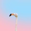 늘푸른청과슈퍼 이미지