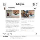 위너피티 이미지