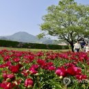 청도군 "청도 여행 인증하면 최대 10만원 지원" 이미지