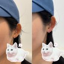 큐라인 | [부산남포동]피어싱전문점귀뚫는곳, 19년경력 직접시술 - 큐피어싱 후기