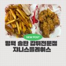 송탄역 | 평택 송탄 맛집 추천 쟈니스플레이스 송탄역 술집 감튀 맛집 후기
