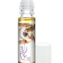 도그아로마 이미지