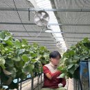 우리들 농장 이미지