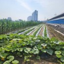 도경농장 이미지