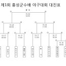 제1회 홍성 군수기 야구대회. 계획 및 일정 이미지