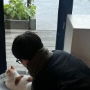 에리어헤어