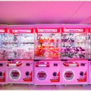 극동스포랜드 이미지